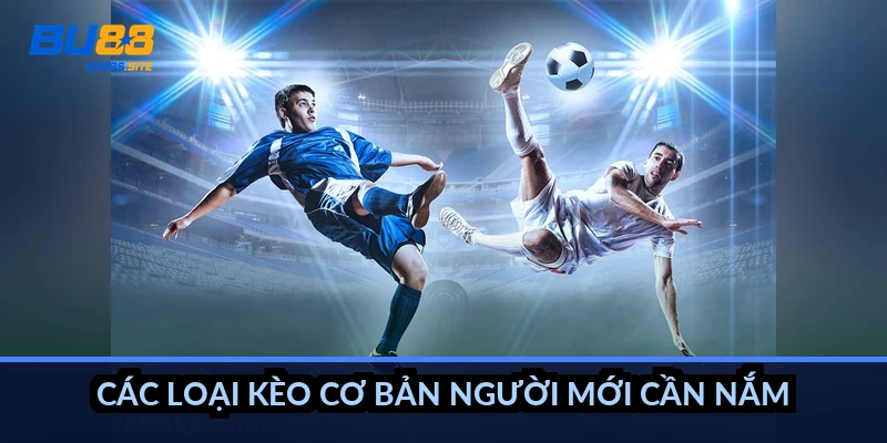 Các loại kèo cơ bản người mới cần nắm