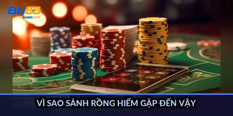 Vì sao sảnh rồng hiếm gặp đến vậy?